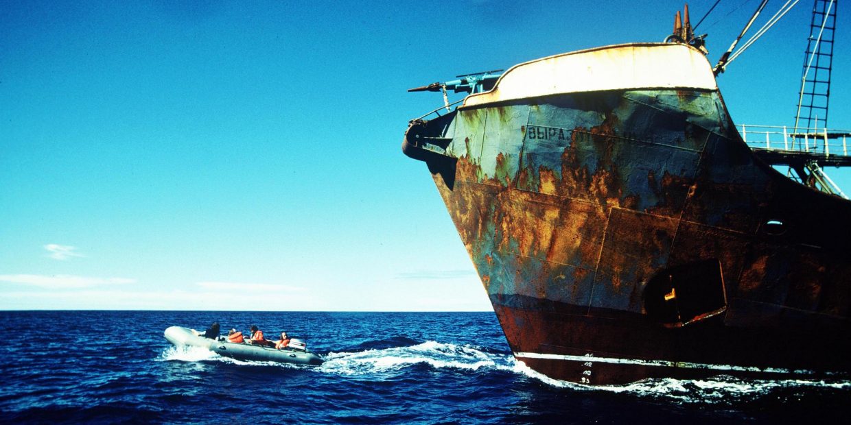 A Greenpeace Zodiac crew blockades a Russian harpoon ship during Greenpeace's second whale campaign. Mid North Pacific Ocean, between Mexico and Hawaii.