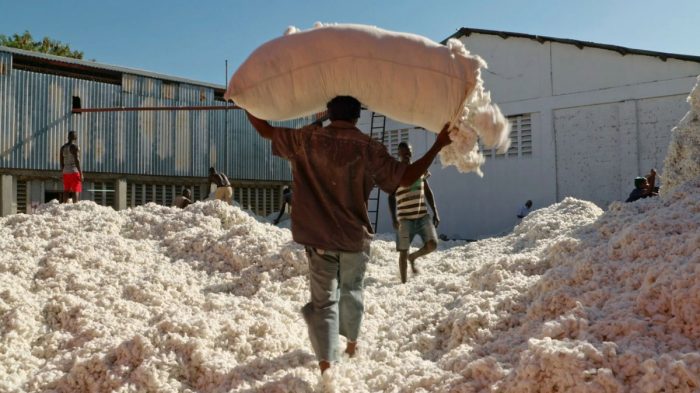 Fair Traders (dir. Nino Jacusso, Switzerland)