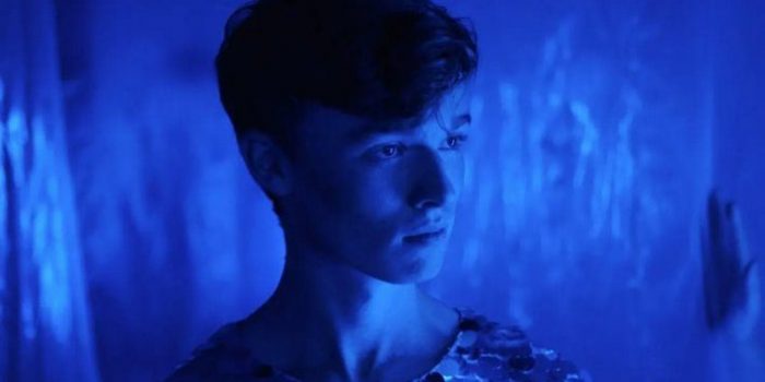 Sequin in a Blue Room (dir. Samuel Van Grinsven, 2019)